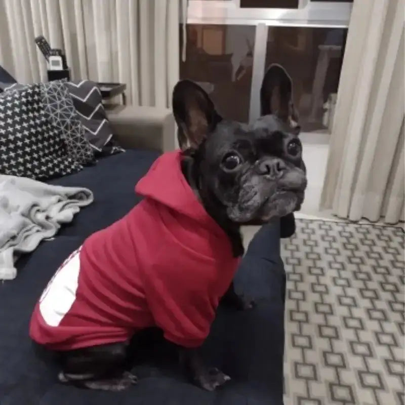 Cozy Winter Dog Hoodie for Large Breeds – Warm Fleece Jacket with Playful Face Print, Adjustable Fit (Labrador, French Bulldog & All Breeds)