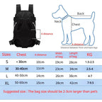 Cat Travel Carrier