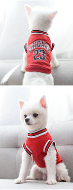 Summer Mesh Dog Jersey - Breathable Sport Shirts for Cooling, Small & Large Breeds (Schnauzer, Teddy, Cats)