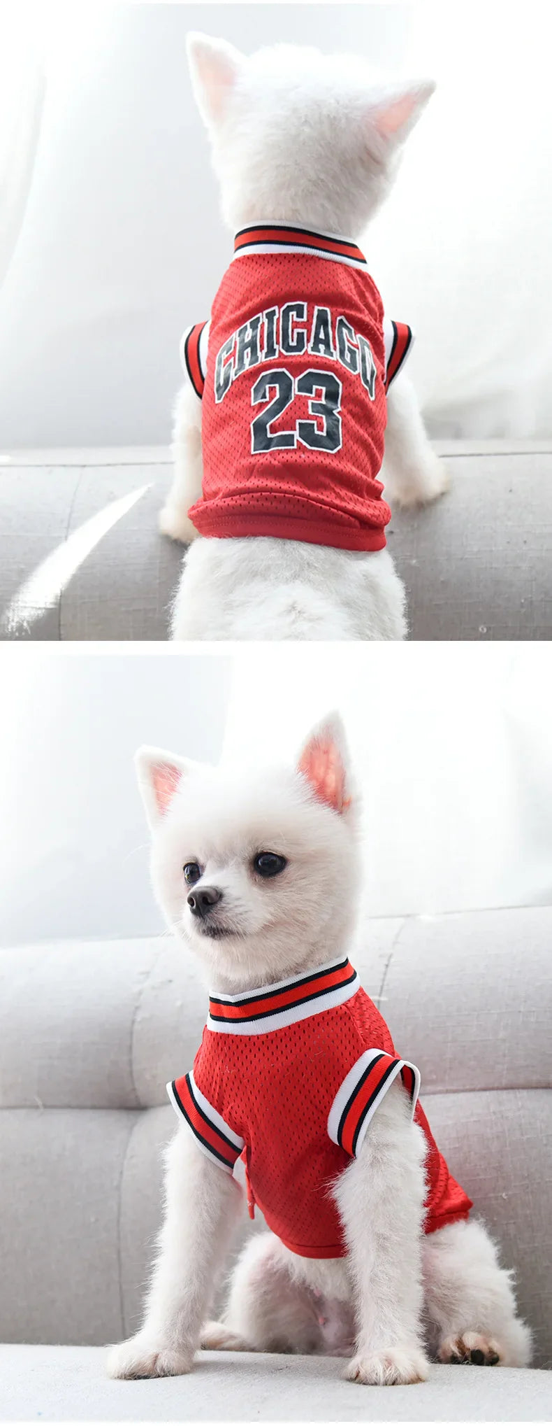 Summer Mesh Dog Jersey - Breathable Sport Shirts for Cooling, Small & Large Breeds (Schnauzer, Teddy, Cats)