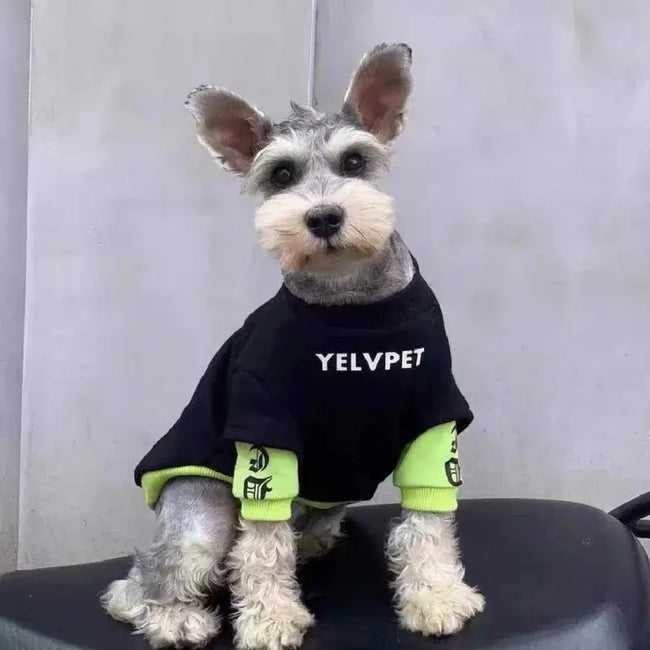 Pet Hoodies for Dogs Cats Spring Dog Clothes Chihuahua Bichon Poodle Dog Sweatshirt Solid Montage Puppy Clothing Pet Costumes Hover Image