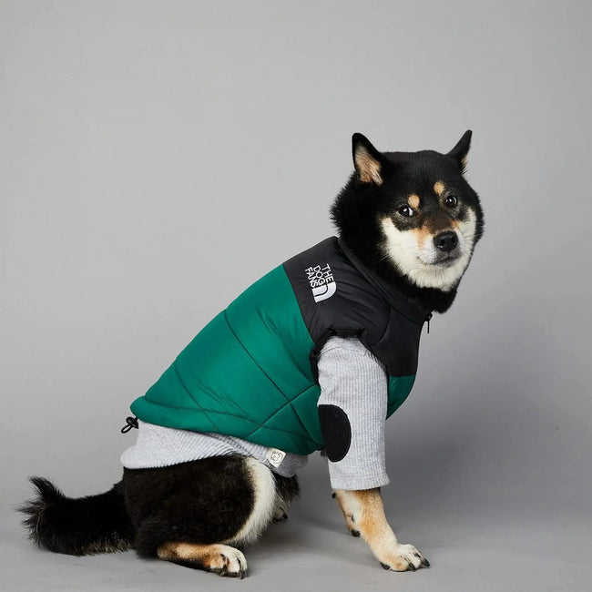 Autumn Winter Pet Dog Down Jacket Clothes for Small Medium Large Dogs Warm Thick Dog Vest French Bulldog Puppy Clothes Main Image