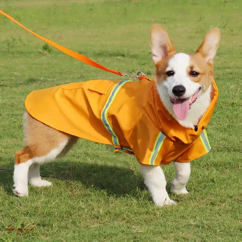 Stylish Waterproof Dog Raincoat: Keep Your Pup Dry and Chic! ☔🐶