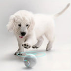 Rechargeable Automatic Dog Toy Ball - LED Bouncing Ball w/ USB Charging for Cats & Dogs