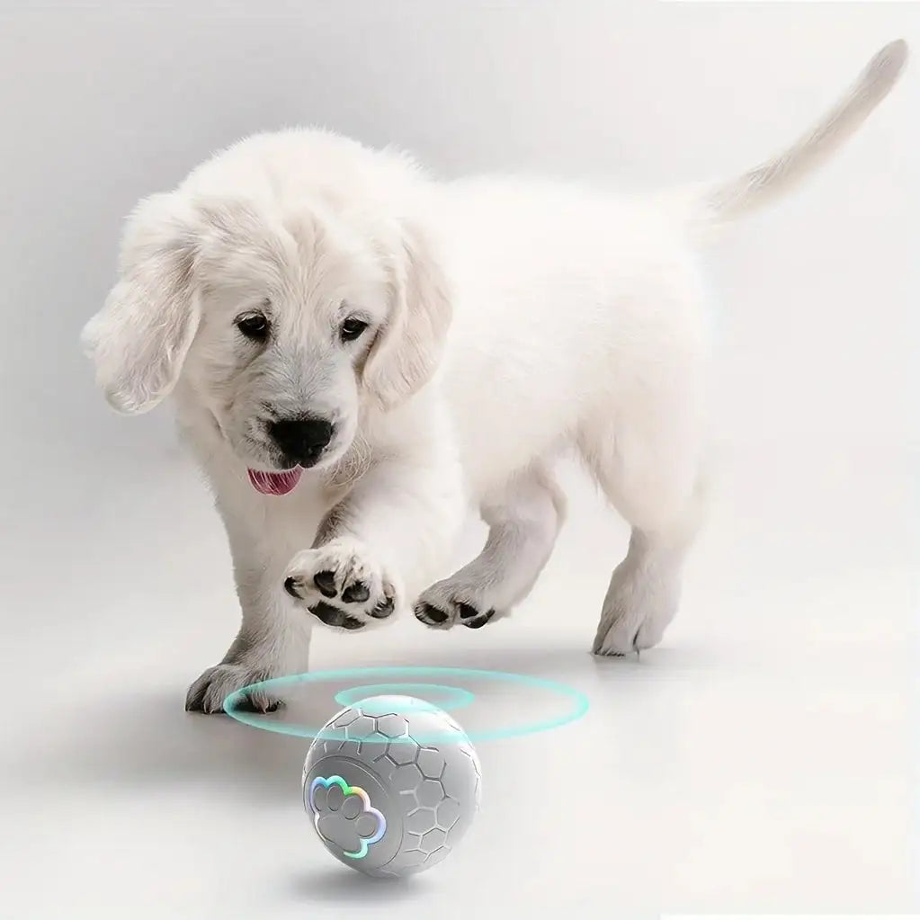 Rechargeable Automatic Dog Toy Ball - LED Bouncing Ball w/ USB Charging for Cats & Dogs