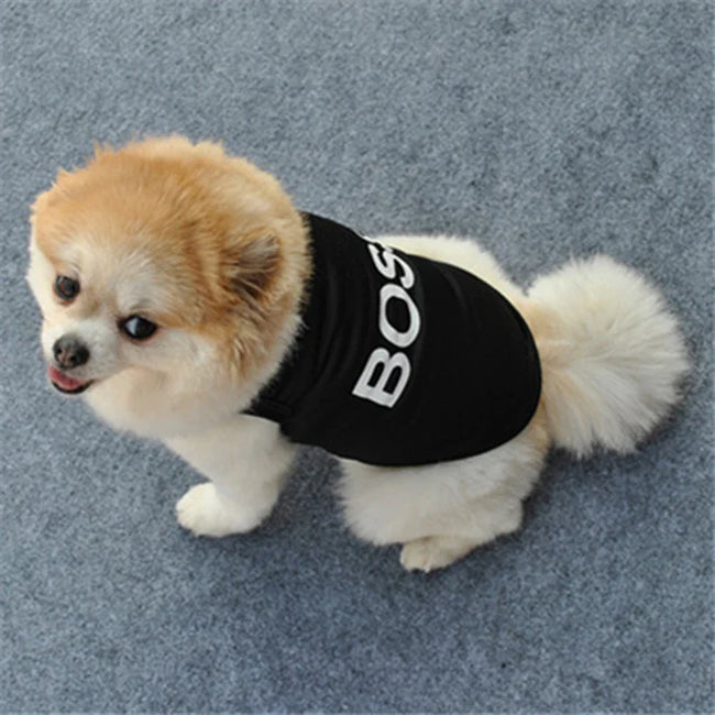 Lightweight Summer Dog Vest - Breathable Mesh Shirt for Small Dogs & Cats Main Image