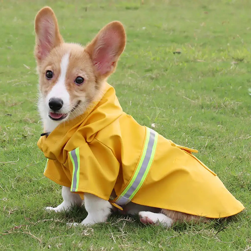 Stylish Waterproof Dog Raincoat: Keep Your Pup Dry and Chic! ☔🐶