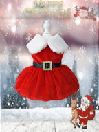 Pet Christmas Clothing Dog Cat Red Dress Warm Bow Frock Golden Velvet Fabric Santa Claus Clothes Dogs Cats Garment Pets Supplies