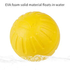 Indestructible Rubber Chew Ball - 7cm/9cm Dog Toy for All Sizes