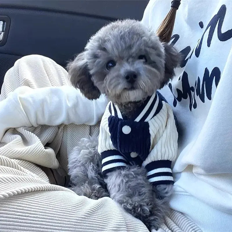 Embroidered Pet Baseball Jackets Dog Clothes For Small Medium Cat Teddy Coat Puppy Spring Clothes Warm Fashion Pet Outfit
