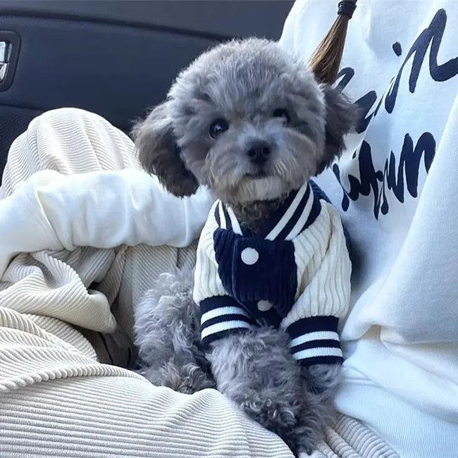 Embroidered Pet Baseball Jackets Dog Clothes For Small Medium Cat Teddy Coat Puppy Spring Clothes Warm Fashion Pet Outfit Main Image