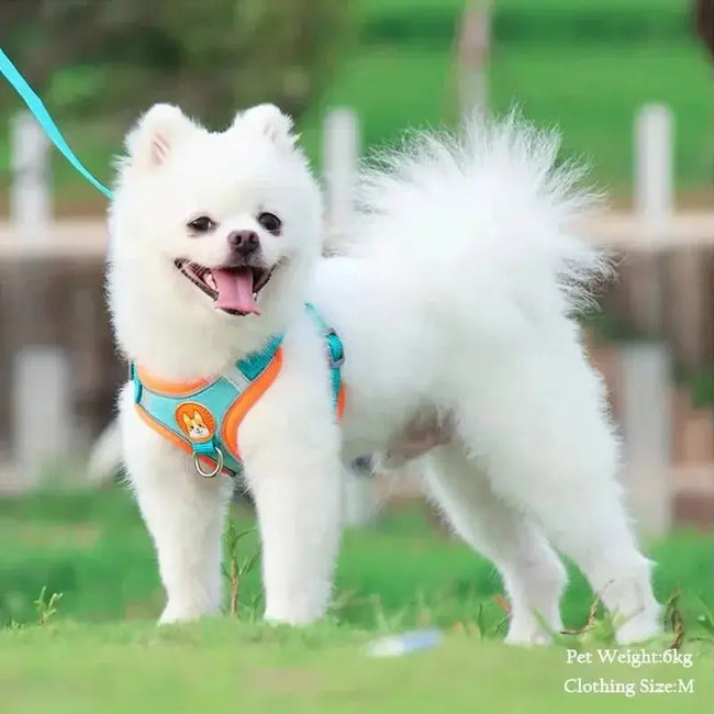 Booteely Pet Suede Chest Harness Vest Dog Cat Strap Reflective Leash Retractable For Small Light And Convenientn Main Image