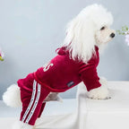 Luxury Velvet Dog Clothes,Dog Jumpsuit,Small Medium Dogs,Yorkie Puppy Costume,Hooded Coat,Tracksuit Overalls,Autumn,Winter