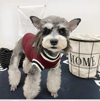CampusPaws V-Neck Sweater - Preppy Knit Pullover for Small Dogs & Cats