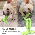 Cactus Dental Chew Toy: Self-Cleaning Toothbrush & Treat Dispenser for All Dogs