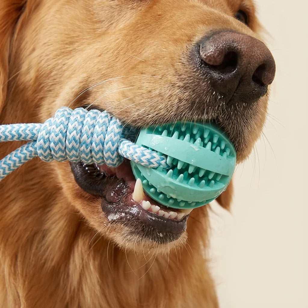 Cotton Rope & Rubber Dog Chew Ball – Treat Dispenser Toy, 18x13cm, Durable for Boredom & Teething