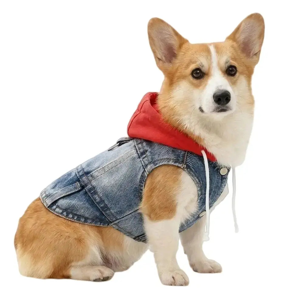Denim Dog Jean Jacket Vest with D-Ring Cool Spring Dog Hoodies Breathable Lightweight Puppy Harness Coat For Small Medium Dogs