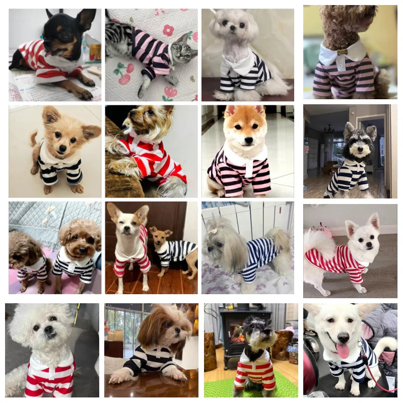 Summer Polo Shirt for Dogs – Stylish Cooling Vest for Small & Medium Breeds