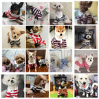 Summer Polo Shirt for Dogs – Stylish Cooling Vest for Small & Medium Breeds