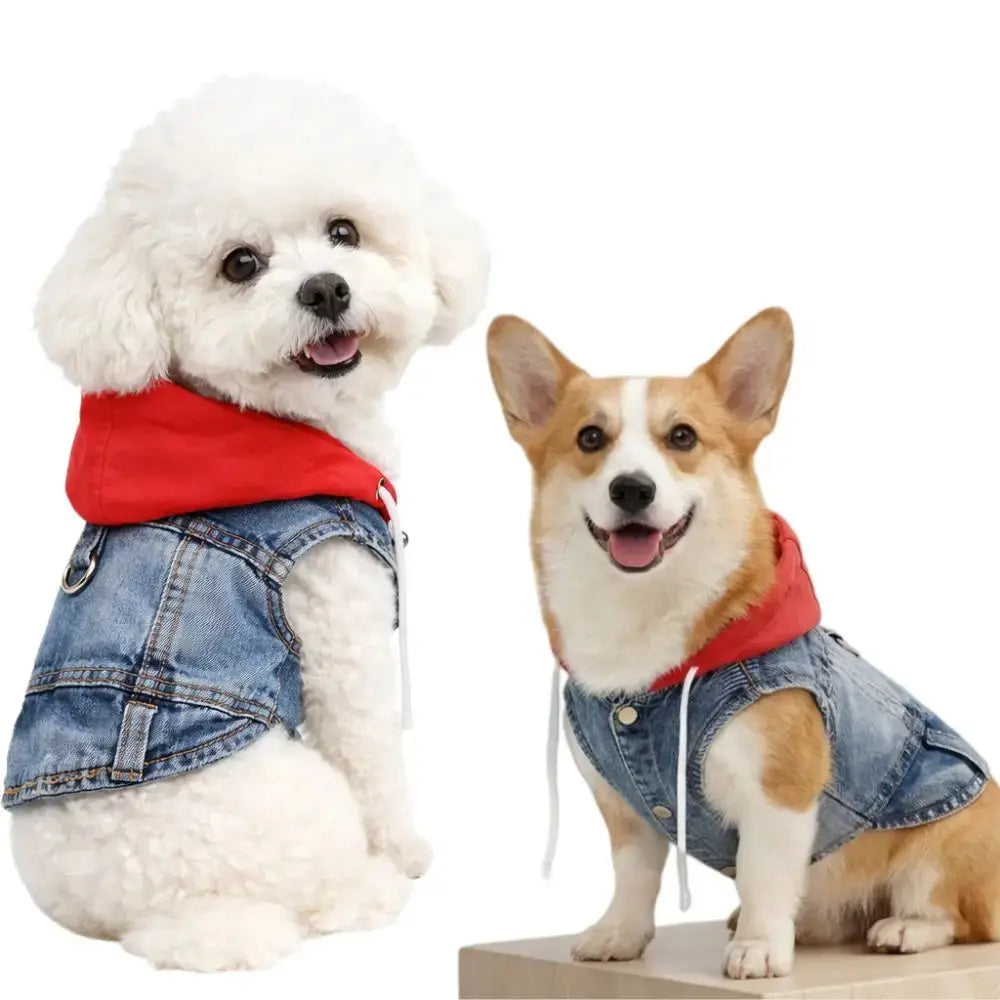 Denim Dog Jean Jacket Vest with D-Ring Cool Spring Dog Hoodies Breathable Lightweight Puppy Harness Coat For Small Medium Dogs