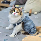 Denim Dog Jean Jacket Vest with D-Ring Cool Spring Dog Hoodies Breathable Lightweight Puppy Harness Coat For Small Medium Dogs