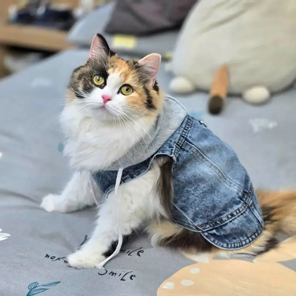 Denim Dog Jean Jacket Vest with D-Ring Cool Spring Dog Hoodies Breathable Lightweight Puppy Harness Coat For Small Medium Dogs
