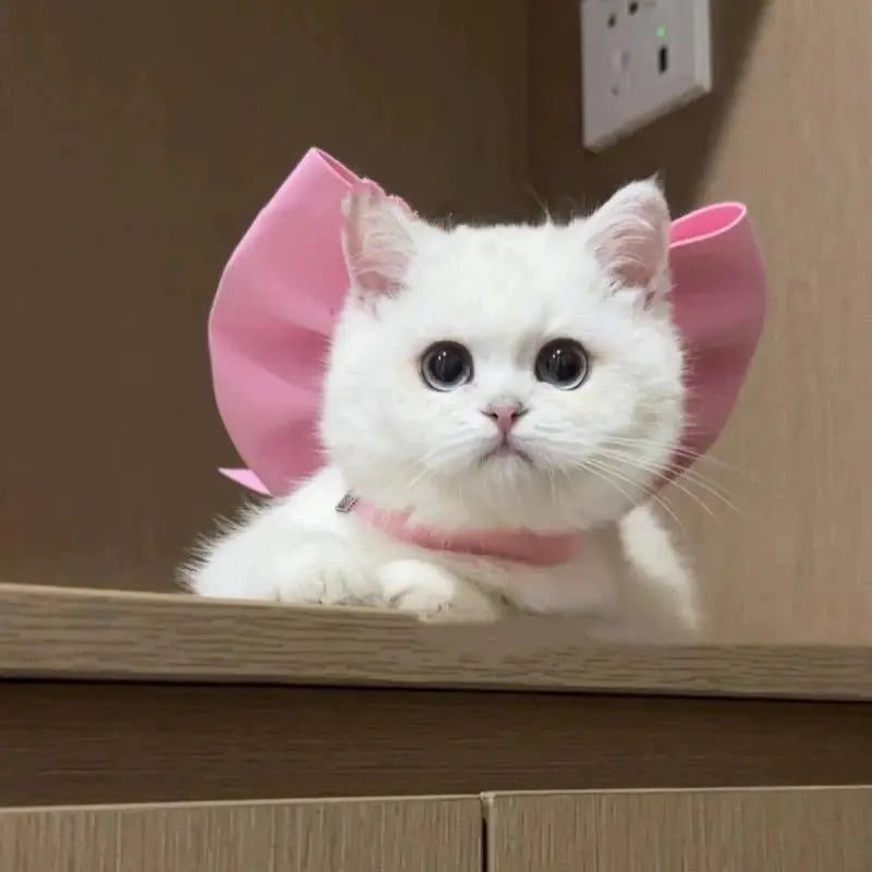 Cat Mermaid Crossdressing Funny Swimsuit Fish Tail Shape Cute Bikini Dog Pet Clothes Pet Halloween Costume Cats Clothes
