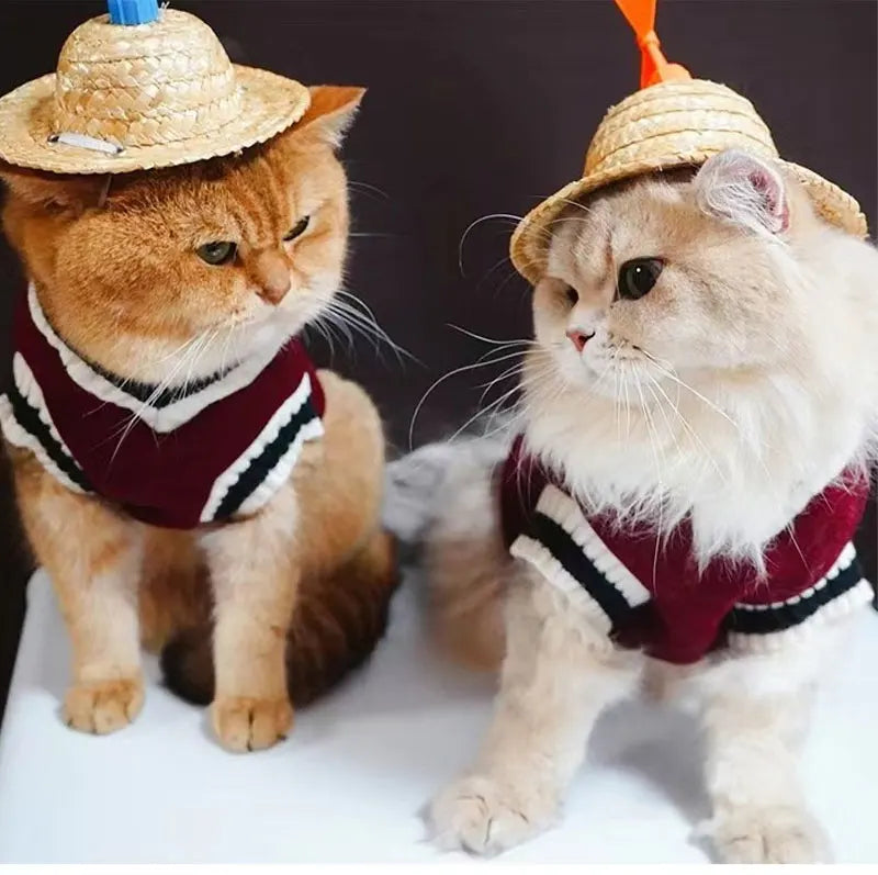 CampusPaws V-Neck Sweater - Preppy Knit Pullover for Small Dogs & Cats