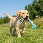 Cotton Rope & Rubber Dog Chew Ball – Treat Dispenser Toy, 18x13cm, Durable for Boredom & Teething