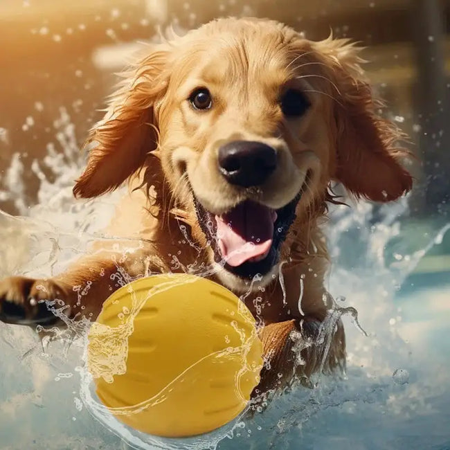Indestructible Rubber Chew Ball - 7cm/9cm Dog Toy for All Sizes Main Image
