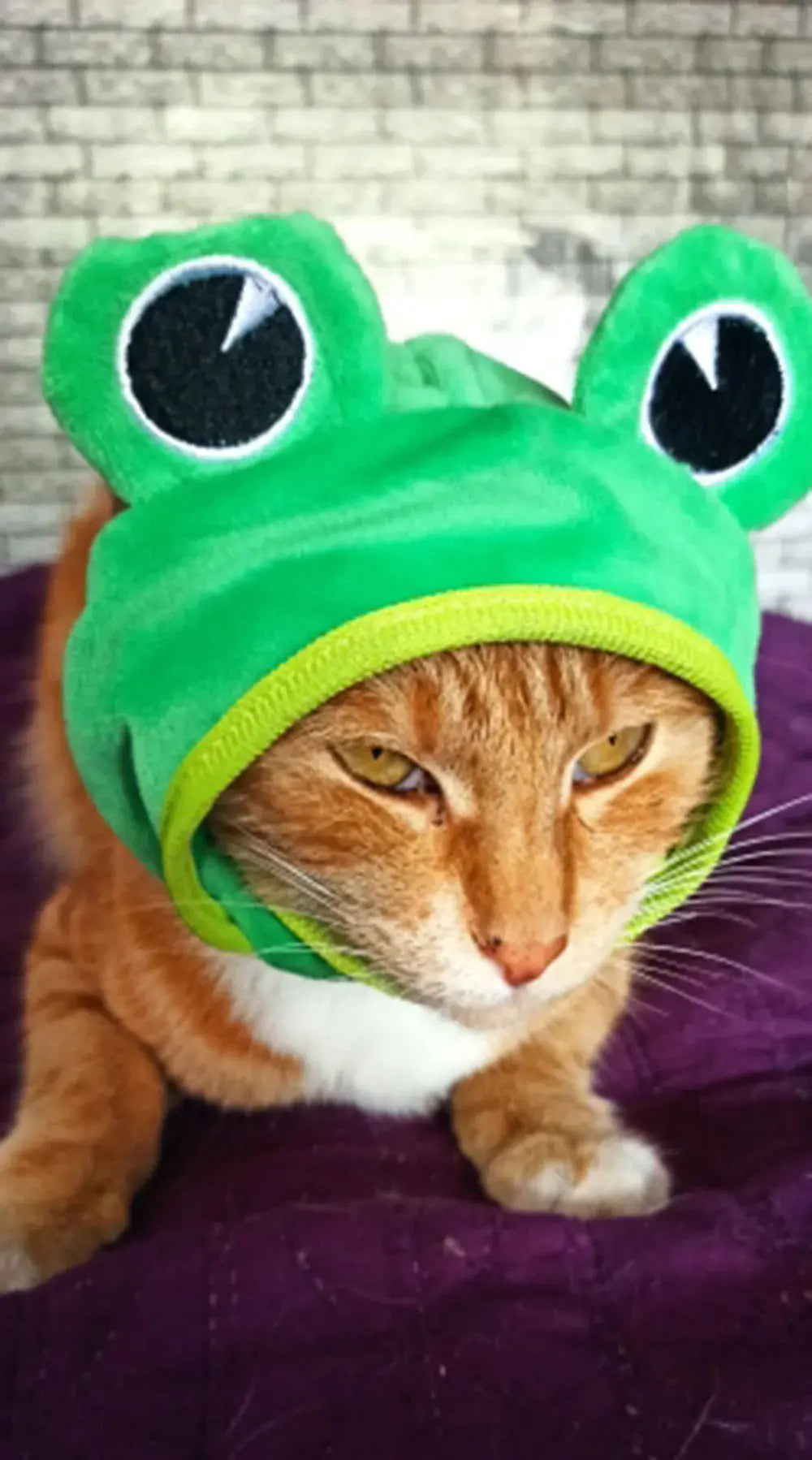 Halloween Easter Pet Costume Novelty Crab Lobster Frog Hat for Cat Puppy Hat Dog Cap Soft Headgear for Birthday Party Photo Prop