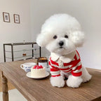 Summer Polo Shirt for Dogs – Stylish Cooling Vest for Small & Medium Breeds