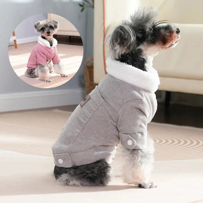 Winter Dog jacket For Small Medium Dogs Cats Fleece Puppy Kitten Jacket Coat Schnauzer Yorkshire Chihuahua Pet Costume Hover Image