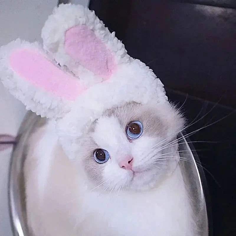 Cat Costume Cute Lion Mane Cat Wig Hat Cosplay Clothes Cap Dress Up Puppy Kitten Halloween Christmas Party Decoration Supplies