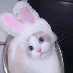 Cat Costume Cute Lion Mane Cat Wig Hat Cosplay Clothes Cap Dress Up Puppy Kitten Halloween Christmas Party Decoration Supplies