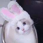 Cat Cosplay Dress Up Pet Hat Lion Mane for Cat Puppy Lion Wig Costume Party Decoration Halloween Christmas GatosPet Supplies