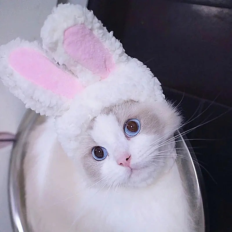 Cat Cosplay Dress Up Pet Hat Lion Mane for Cat Puppy Lion Wig Costume Party Decoration Halloween Christmas GatosPet Supplies