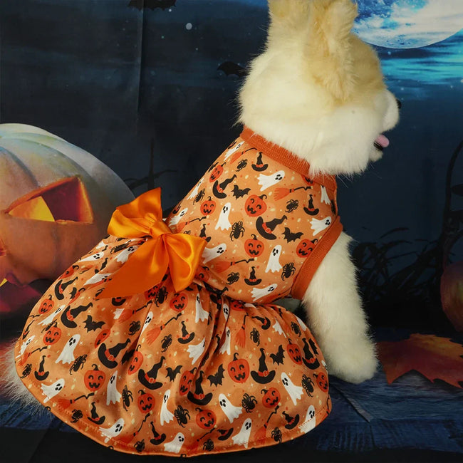 SpookyPumpkin 2-in-1 Pet Costume - Bat Wing Dress with Matching Hat for Halloween & Cosplay (S-XL) Hover Image