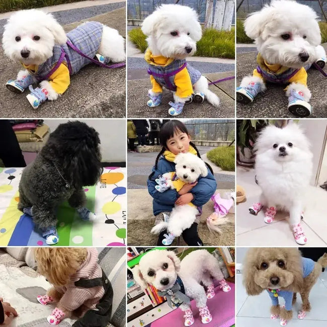 Pet Dog Canvas Shoes for Small Dogs Cute Stawberry Pattern Dog Shoes Anti-Slip Puppy Boots Breathable Cat Sneakers Pet Supplies Main Image