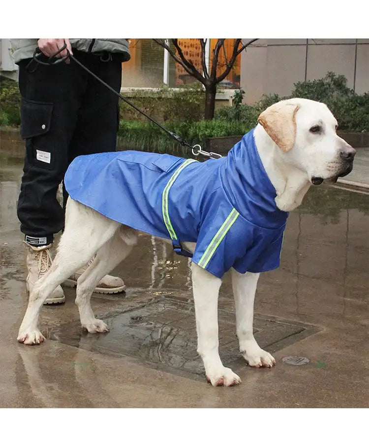 Stylish Waterproof Dog Raincoat: Keep Your Pup Dry and Chic! ☔🐶