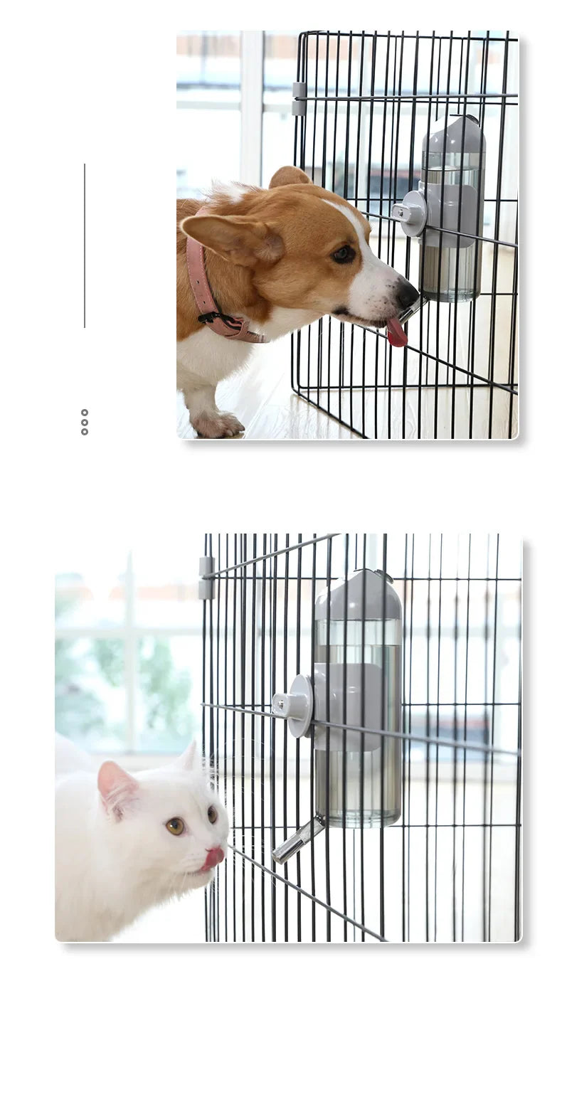 Hanging Pet Water Bottle & Bowl