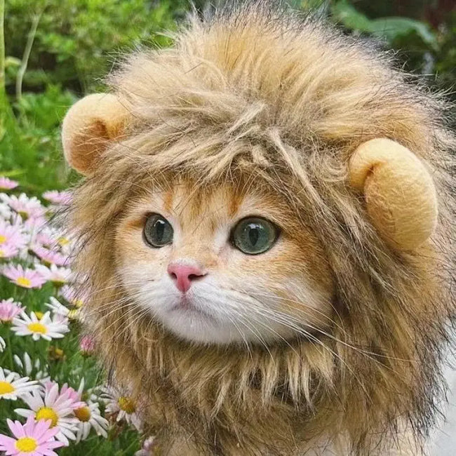 Pet Hairpiece - Humorous Lion Mane Headgear for Dogs and Cats, Adjustable Costume Accessories for Fun Dress-up and Play Main Image