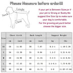 Luxury Dog Dress for Small Dogs - Summer Puppy Clothes with Bow & Lace