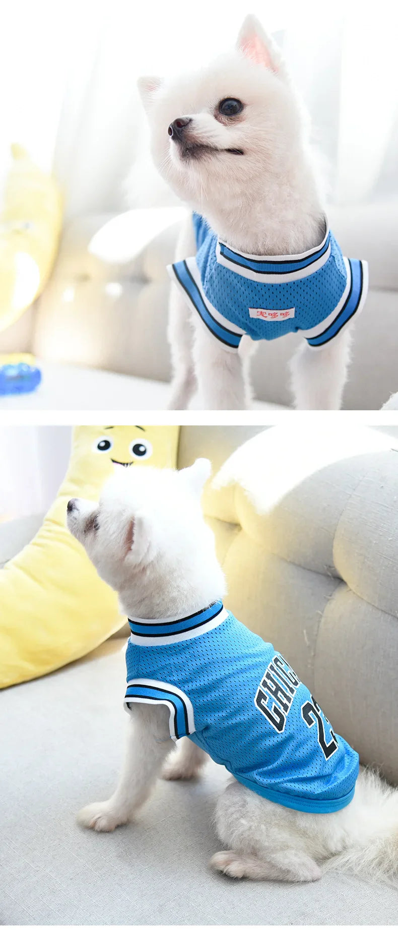 Summer Mesh Dog Jersey - Breathable Sport Shirts for Cooling, Small & Large Breeds (Schnauzer, Teddy, Cats)