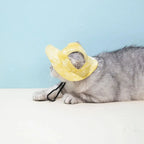 Pet Hat with Ear Holes Summer Outdoor Cute Dog Cat Hat Colorful Adjustable Baseball Cap for Small Medium Dogs Cats Pet Supplies