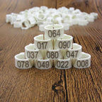 Bird Leg Bands (100pc, 8mm)