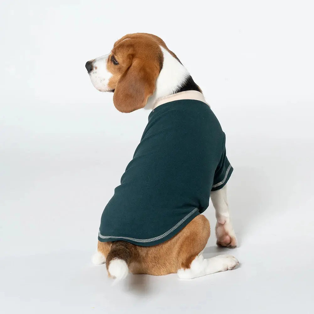 Dog Shirts Summer Puppy Spring Clothes Pet Pullover Sweatshirt Soft Long Sleeve Dog Clothes for Small and Medium Dogs T-shirts