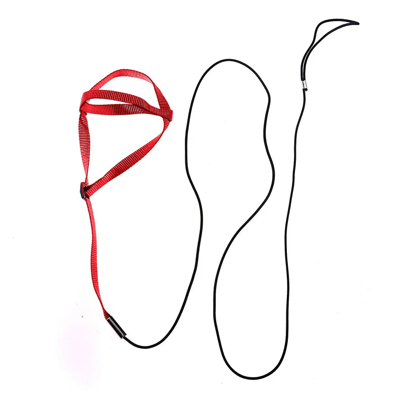 Parrot Flight Harness & Leash