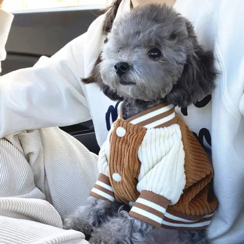 Embroidered Pet Baseball Jackets Dog Clothes For Small Medium Cat Teddy Coat Puppy Spring Clothes Warm Fashion Pet Outfit