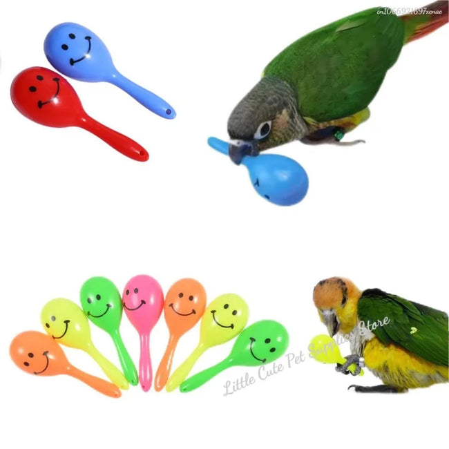 Parrot Rattle & Foraging Toy Hover Image